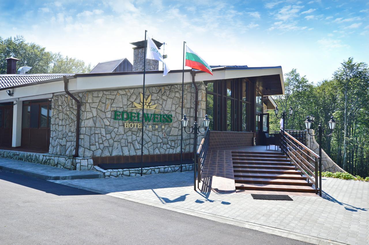 HOTEL EDELWEISS ШИПКА 3* (Болгария) - от 4786 RUB | NOCHI